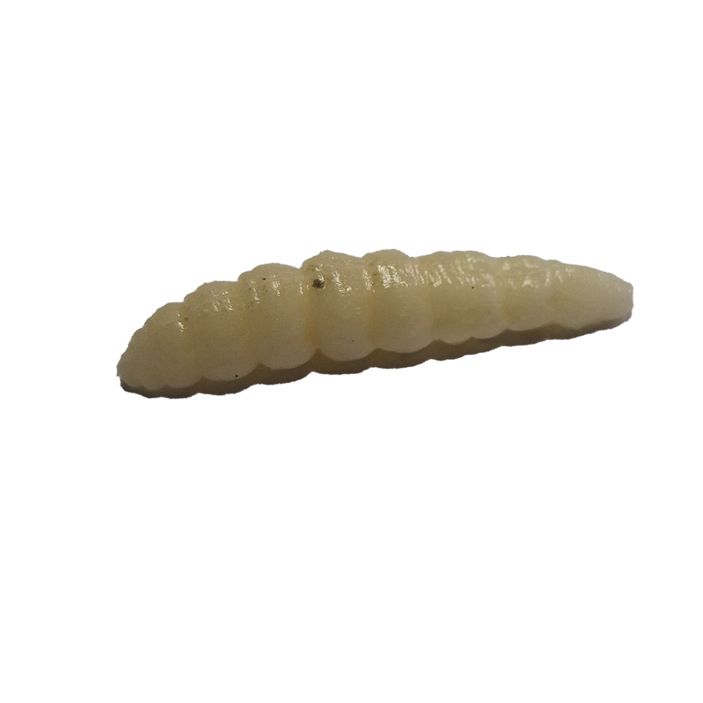maggot floating